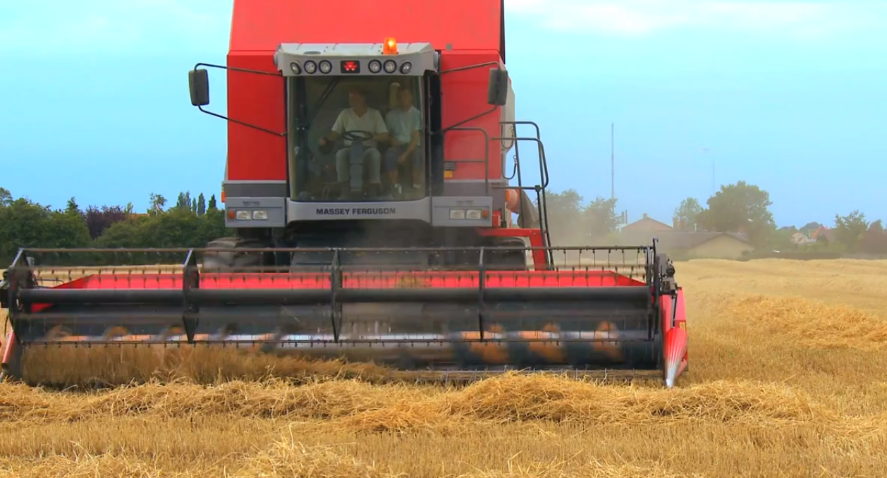 Høst, men med regn (TV)