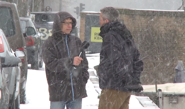 Om træerne langs kanalen