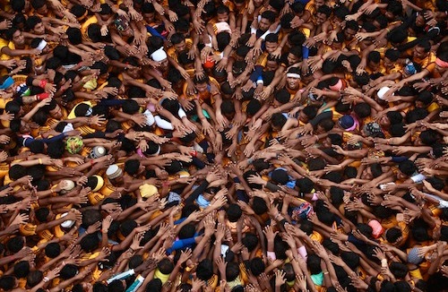 Humans! Collectively rational or socially stupid?