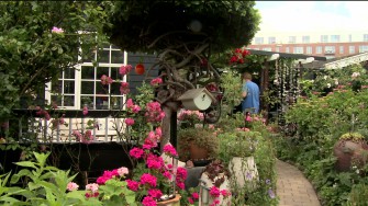 Sommerhaven i Vennelyst