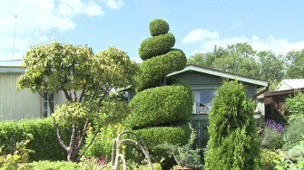 Guided tur i Vennelyst