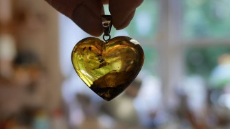 Ravsliberen fra Blåvand