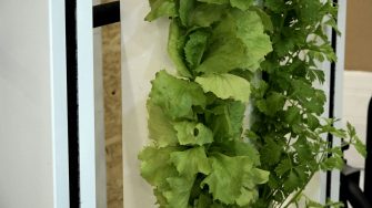 Grøn udstilling i bæredygtighed