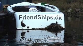 Blishøns i Trangraven