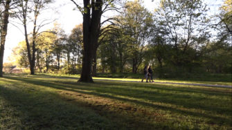 Mindelunden den 4. maj