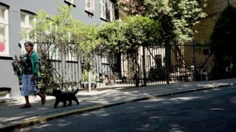 Hvordan får man fat i en hund?