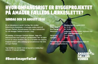 Fælledvandring i dag