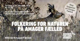 Amager Fælled i høring