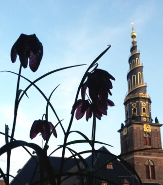 Fra Hanne Kold, også kaldet “Posedame”