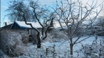 Blev julefrokosten aflyst? Her er løsningen