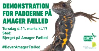 Demonstration i morgen torsdag den 11. marts kl. 17.00