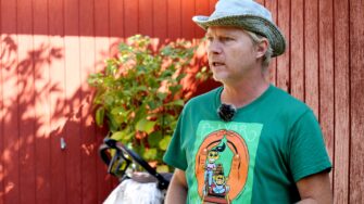 Kolonihaverne på DSBs terræn ved Kløvermarken