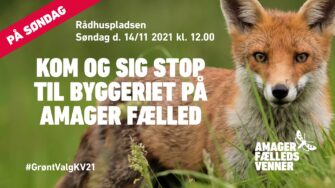 Amager Fælledes Venner på Rådhuspladsen