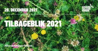 Tilbageblik 2021 for Amager Fælled