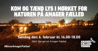 Kom og tænd lys i mørket for naturen på Amager Fælled på søndag d. 6. februar