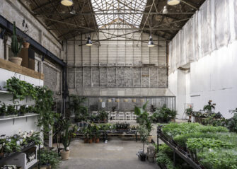 Byens Plantetorv åbner igen
