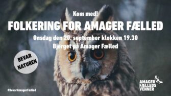Nu starter retssag om Amager Fælled